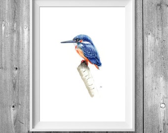 Digital printing A4: Kingfisher