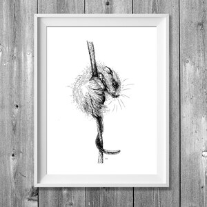 Digitaldruck A4: Neugierige Maus