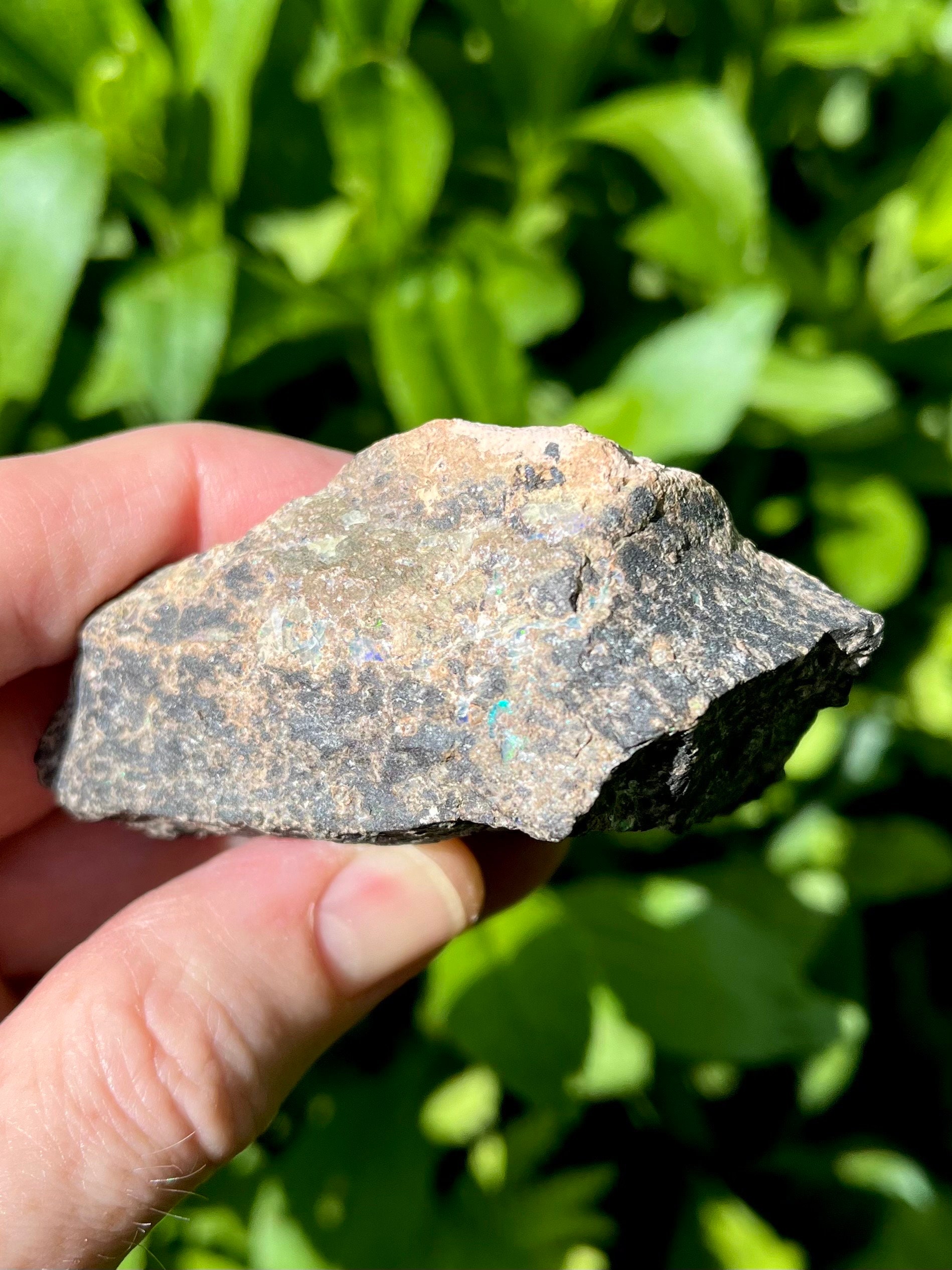 AAA Leopard Opal Rough Raw Black Matrix Opal From Mexico!!! Solid Stone ...