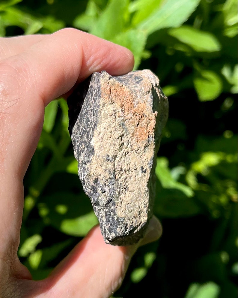AAA Leopard Opal Rough Raw Black Matrix Opal From Mexico!!! Solid Stone ...