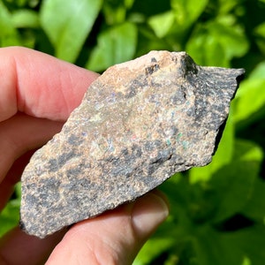 May include: A rough, dark gray rock with iridescent opal inclusions. The rock is about the size of a hand.