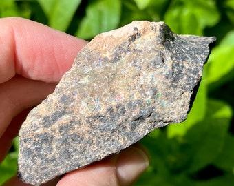 AAA Leoparden Opal Roher Schwarzer Matrix Opal aus Mexiko!!! Solider Stein, visuell geladen mit Edelopal! 121g/600ct