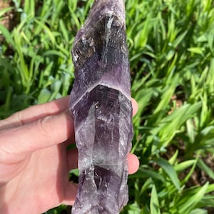 Auralite 23 Chevron Amethyst Schallplattenhalter Kristall !! Cacoxenit Rutil Goethit & weitere Einzigartige Einschlüsse! Schöne selbst geheilte Base! 16 3/10 cm