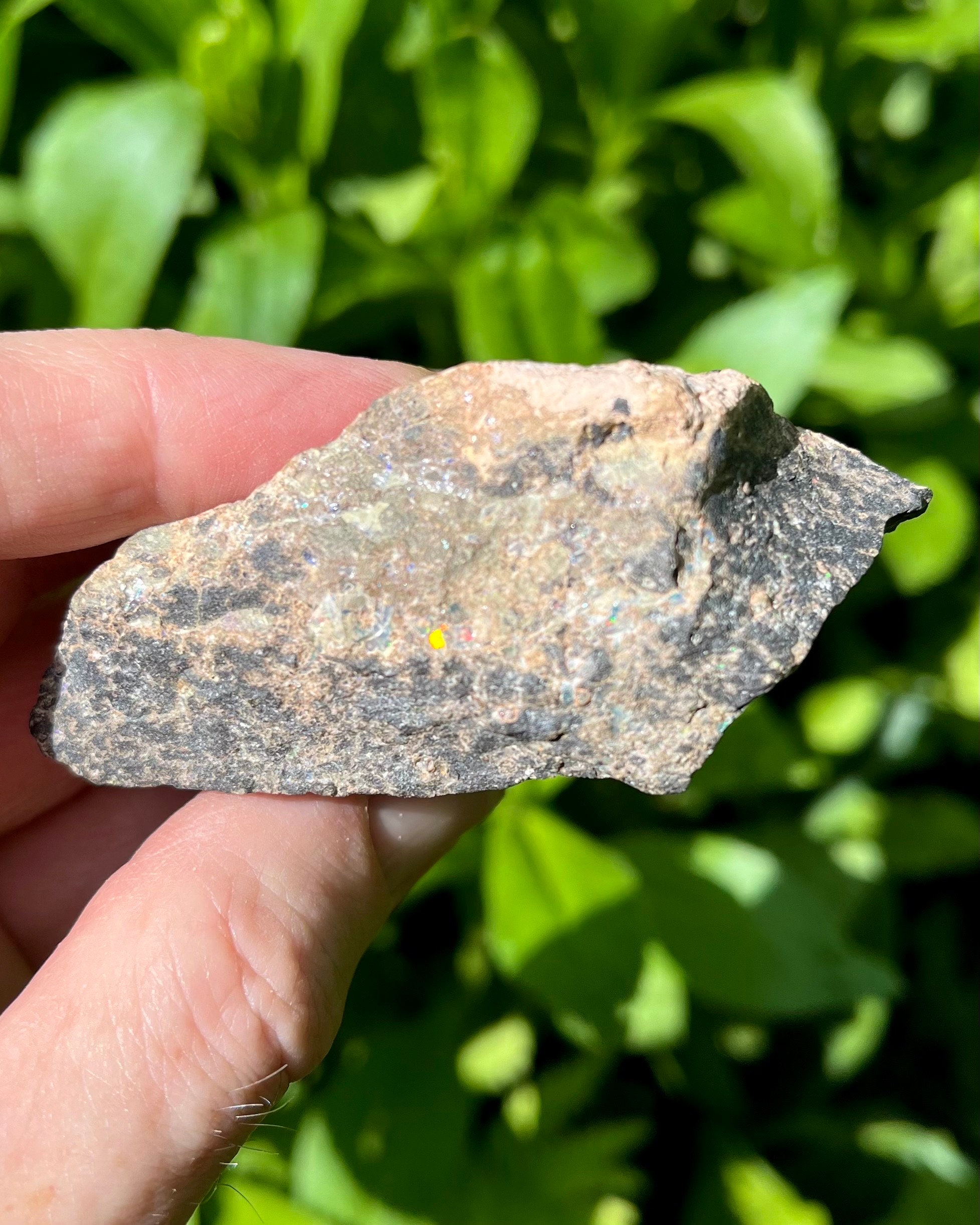 AAA Leopard Opal Rough Raw Black Matrix Opal From Mexico!!! Solid Stone ...