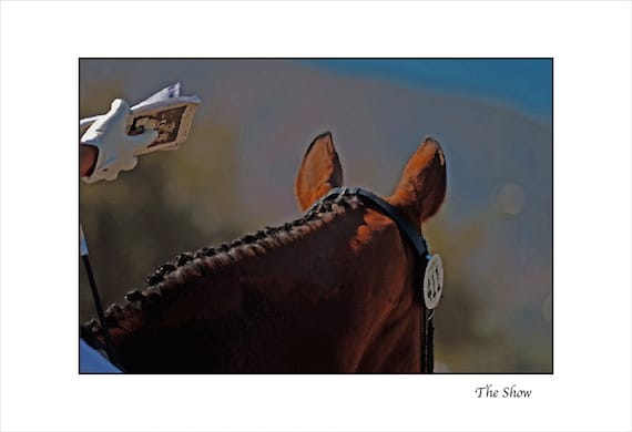 Arte De La Pared Ecuestre Caballo Show Decoracion De La Etsy