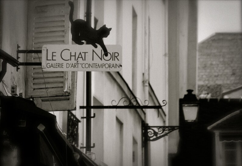 Paris Le Chat Noir Gallerie Black White Photography Cat Etsy