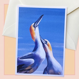 Carte postale fous de bassan, correspondant, scrapbook, papeterie, oiseaux marins