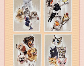 Set of 4 animal postcards, dogs, cats, rabbits, birds, correspondence, postcrossing, stationery
