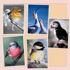 Set de 5 cartes postales oiseaux, correspondance, postcrossing, papeterie