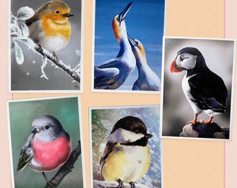 Set de 5 cartes postales oiseaux, correspondance, postcrossing, papeterie