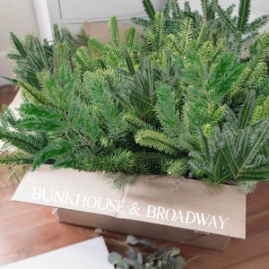 Pine Boughs Fresh Cut Tips 25pc 612 Evergreen Floral Crafts Wedding  Greenery Fragrant Decorative Branches Holiday Decor Free Shipping 