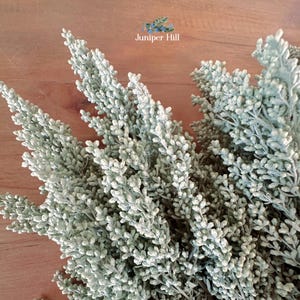 3+lbs Sagebrush | Artemisia tridentata | Freshly Harvested High Desert Big Sage || Wholesale Bulk Bunches | Aromatic, Fresh, Clean & Organic