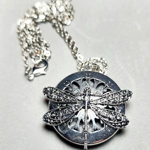 Puede incluir: Un collar de plata con un colgante de libélula. La libélula está detallada con alas intrincadas y un cuerpo delicado. El collar está en una cadena de plata.