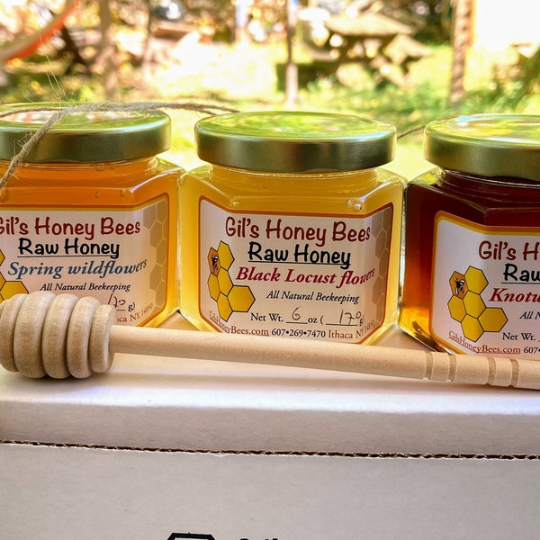 Honey sampler with wooden honey dipper.  Raw Honey gift set with a seasonal honey, naturally made by our honeybees