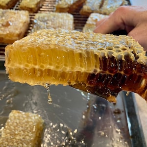 Raw Comb Honey: NY Finger Lakes Summer Honeycomb