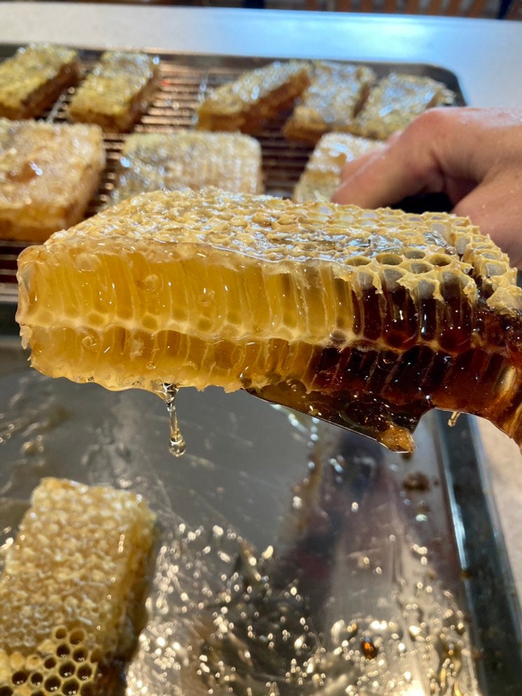 Raw Comb Honey. 100% Pure Raw Natural Honeycomb Filled With Pure Honey Raw  Superfood -  Israel