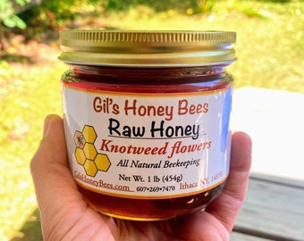 Raw Japanese knotweed honey jar - Bamboo honey - Unheated honey - unfiltered honey  - NY made Fall honey