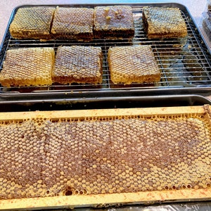 Raw honeycomb. Raw honey comb filled with pure honey real comb honey, raw food, 12-16oz image 5