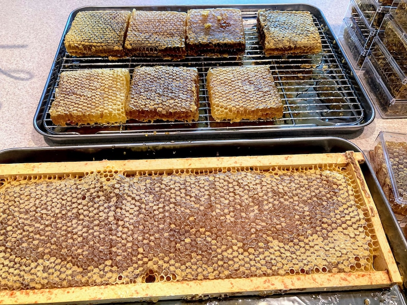 Raw honeycomb. Raw honey comb filled with pure honey real comb honey, raw food, 12-16oz image 5