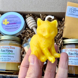 Honey gift basket. Raw honey, 100% beeswax candle, handcrafted lip balm, skin salve, honey dipper, and pollinators wildflowers mix Cat