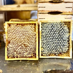 May include: Two wooden frames filled with honeycomb. One frame is filled with golden honey, and the other is filled with capped honey cells. The frames are set on a dark surface, with wooden storage boxes in the background.