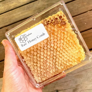 Raw honeycomb. Raw honey comb filled with pure honey real comb honey, raw food, 12-16oz image 4