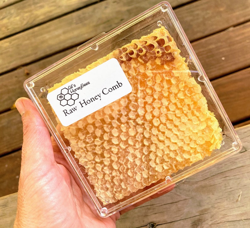 Raw honeycomb. Raw honey comb filled with pure honey real comb honey, raw food, 12-16oz image 4