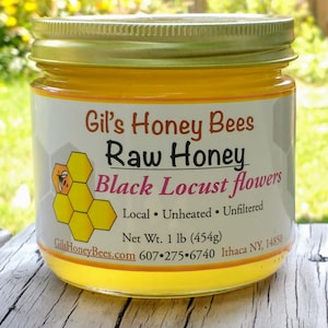 Raw Black Locust honey 1 lb honey jar unheated and unfiltered pure raw varietal honey from Ithaca New York