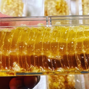 Raw honeycomb. Raw honey comb filled with pure honey real comb honey, raw food, 12-16oz image 3