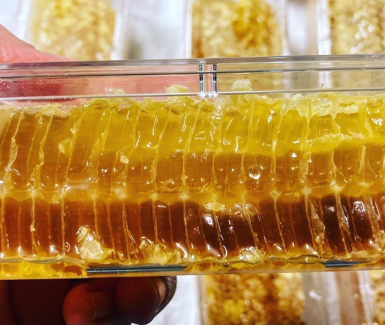 Raw honeycomb. Raw honey comb filled with pure honey real comb honey, raw food, 12-16oz image 3
