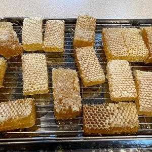 Raw honeycomb. Raw honey comb filled with pure honey real comb honey, raw food, 12-16oz image 10