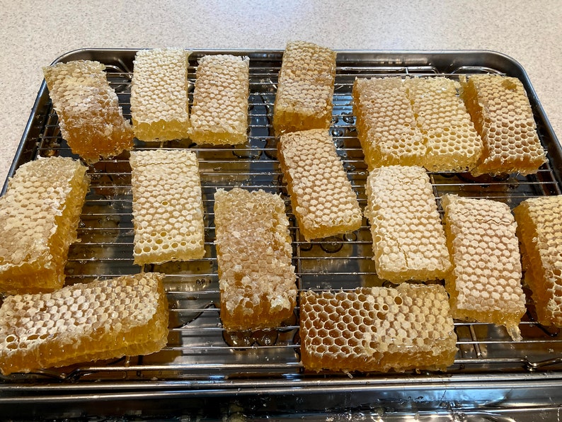 Raw honeycomb. Raw honey comb filled with pure honey real comb honey, raw food, 12-16oz image 10