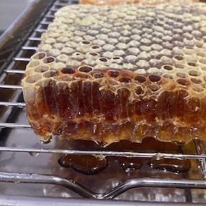 May include: A honeycomb frame filled with golden honey, dripping onto a metal rack. The honeycomb is still attached to the frame, and the honey is thick and viscous.