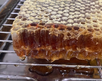 Raw comb honey. 100% pure raw natural honeycomb filled with pure honey -  raw superfood!