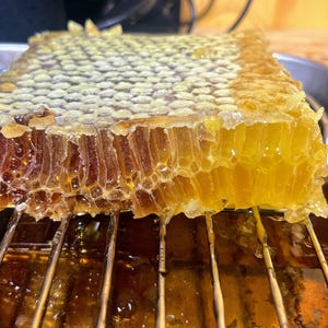 Raw Comb Honey: Fall Wildflower Honeycomb, NY Finger Lakes