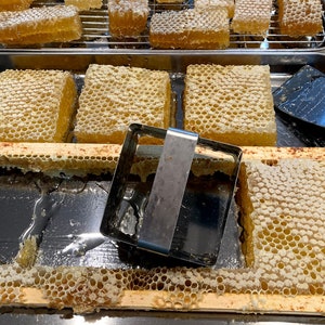 Raw honeycomb. Raw honey comb filled with pure honey real comb honey, raw food, 12-16oz image 9