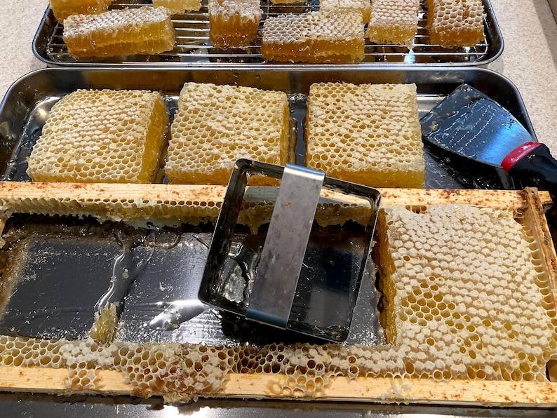 Raw honeycomb. Raw honey comb filled with pure honey real comb honey, raw food, 12-16oz image 9