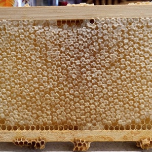 Restaurant Honeycomb Display Stand – The Honey Company