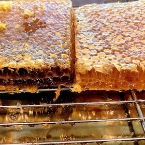 Raw honeycomb. Raw honey comb filled with pure honey real comb honey, raw food, 12-16oz Fall (dark color)