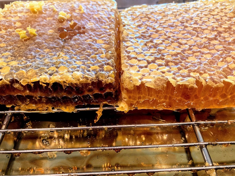 Raw honeycomb. Raw honey comb filled with pure honey real comb honey, raw food, 12-16oz Fall (dark color)