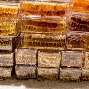 Raw honeycomb. Raw honey comb filled with pure honey real comb honey, raw food, 12-16oz image 6