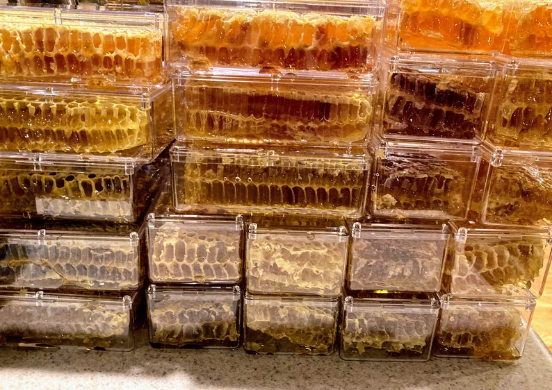 Raw honeycomb. Raw honey comb filled with pure honey real comb honey, raw food, 12-16oz image 6