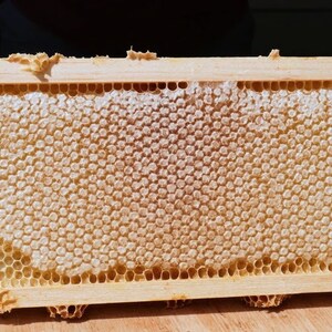 Raw honeycomb. Raw honey comb filled with pure honey real comb honey, raw food, 12-16oz image 8