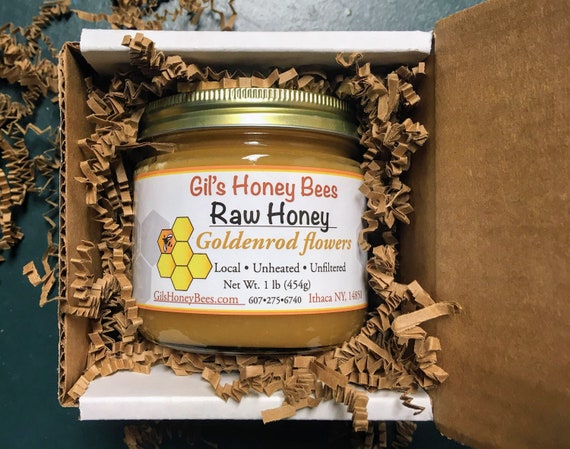 Raw Japanese Knotweed Honey Jar Bamboo Honey Unheated Honey Unfiltered Honey  NY Made Fall Honey 