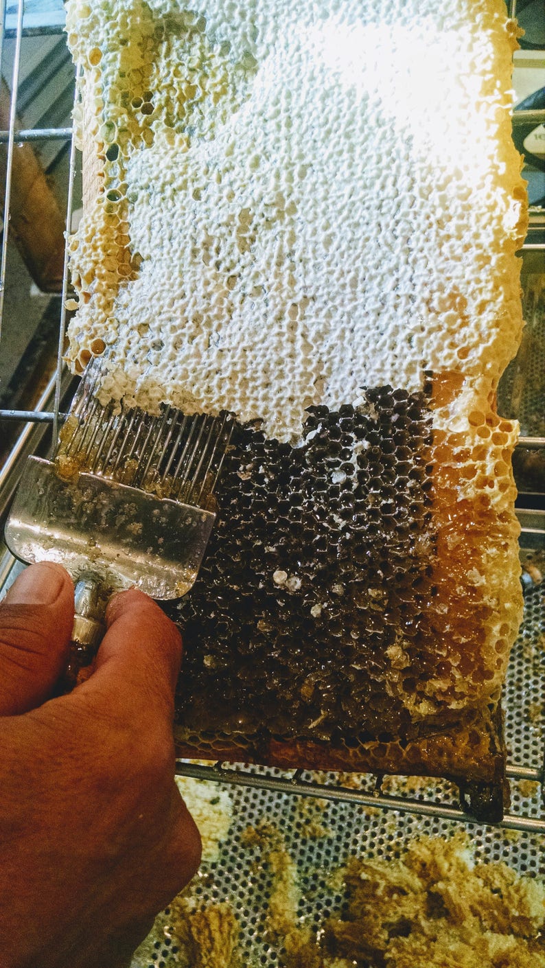 Raw honey gift basket pure beeswax candle beeswax skin Etsy