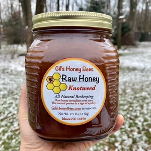 Raw Japanese knotweed honey, artisan honey in 2.5lb honey jar unheated and unfiltered pure honey NY made