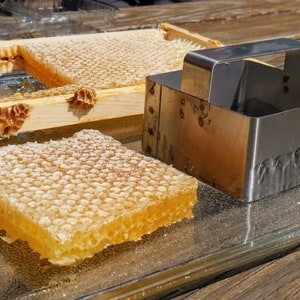 Raw honeycomb. Raw honey comb filled with pure honey real comb honey, raw food, 12-16oz summer (light)