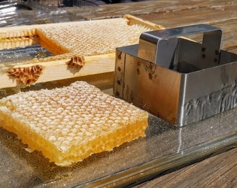 Raw honeycomb. Raw honey comb filled with pure honey - real comb honey, raw food, 12-16oz