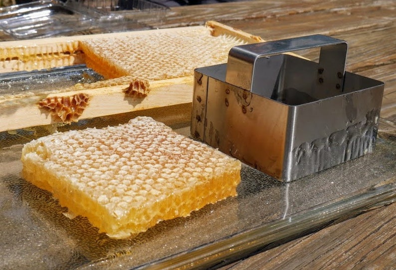 Raw honeycomb. Raw honey comb filled with pure honey real comb honey, raw food, 12-16oz summer (light)