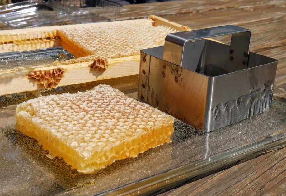 Whole frame. Raw honey comb filled with pure honey. Etsy